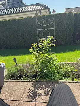 jovi Yeylo187 online show from 04-21-26, 11:49