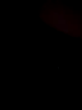 Snapshot of stevo170t chatting on 11-13-25, 07:40 stevo170t online show from 11-13-25, 07:40