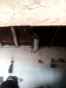 Snapshot of Sheema_tyagi chatting on 10-21-25, 07:31 Sheema tyagi online show from 10-21-25, 07:31