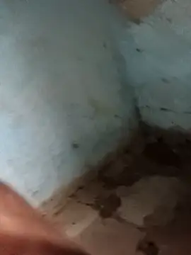 Snapshot of Sheema_tyagi chatting on 11-11-25, 07:47 Sheema tyagi online show from 11-11-25, 07:47