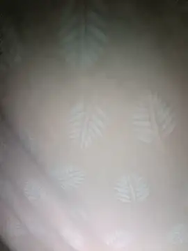 xxminou online show from 11-26-25, 12:33