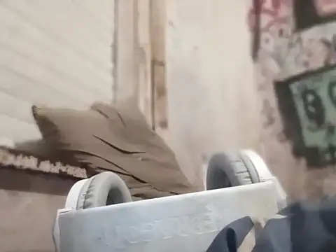 MYM69 - online show from 03-08-26, 07:34