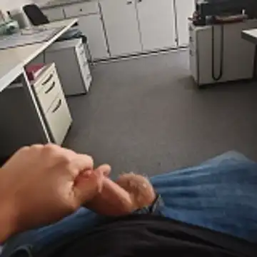 stunning stallion online show from 11-16-25, 11:16