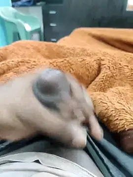 Yourminal online show from 10-05-25, 02:26