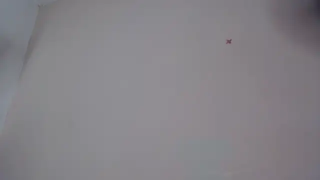 akisha lims26 online show from 10-04-25, 01:09