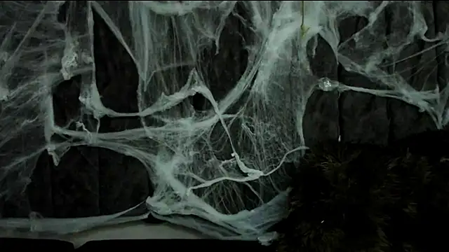 Snapshot of Rowan_Mills chatting on 10-10-25, 08:19 Rowan Mills online show from 10-10-25, 08:19