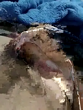 hdz3012 online show from 11-15-25, 01:29