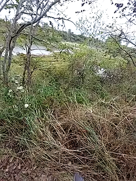 Snapshot of slaveman4you chatting on 09-18-25, 12:40 slaveman4you online show from 09-18-25, 12:40