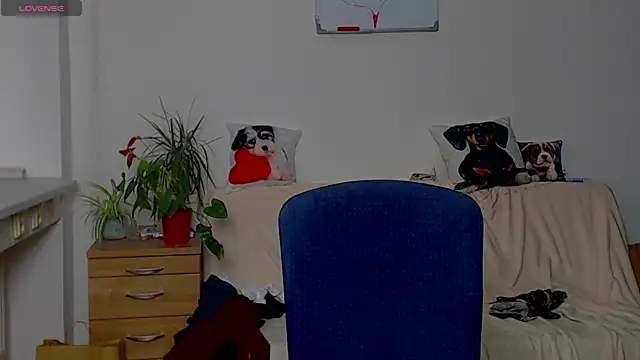 ZeinMiracles online show from 04-06-26, 10:44