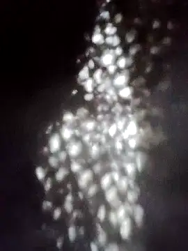 Perropa online show from 01-18-26, 05:28