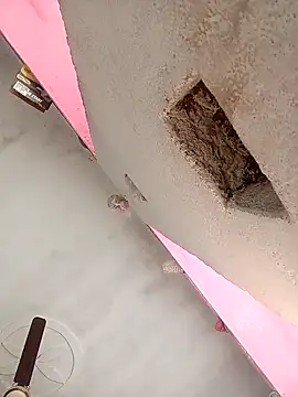 Snapshot of Payal950 chatting on 02-07-26, 07:45 Payal950 online show from 02-07-26, 07:45