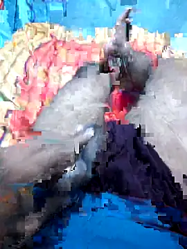 Snapshot of Hyd-bad-boy-25 chatting on 09-27-25, 05:56 Hyd-bad-boy-25 online show from 09-27-25, 05:56