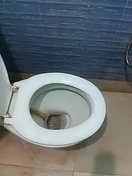 Snapshot of monmohua chatting on 10-04-25, 06:39 monmohua online show from 10-04-25, 06:39