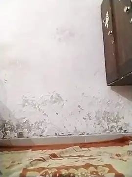 Snapshot of DivyaBhabhi69@xh chatting on 10-19-25, 03:56 DivyaBhabhi69xh online show from 10-19-25, 03:56