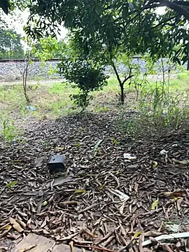 magraocam online show from 04-14-26, 02:34