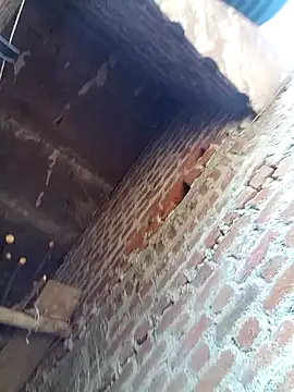 Xx pooja online show from 02-08-26, 09:13