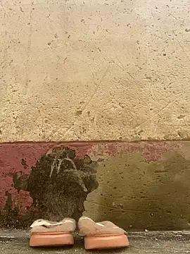 Snapshot of Crazyqueenxxx chatting on 12-19-25, 12:01 Crazyqueenxxx online show from 12-19-25, 12:01