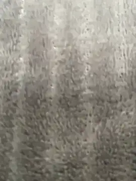 HeerStd online show from 11-20-25, 04:45