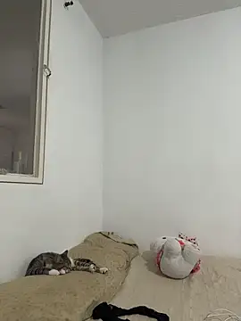 Snapshot of aliciia_23 chatting on 11-28-25, 08:11 aliciia 23 online show from 11-28-25, 08:11