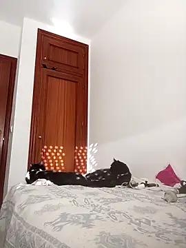 oscartres online show from 11-02-25, 03:25