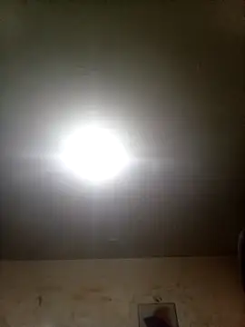 Bebicho14 online show from 09-09-25, 02:22