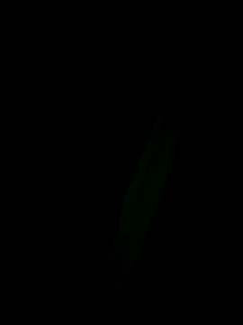 Marleymols online show from 12-02-25, 01:55