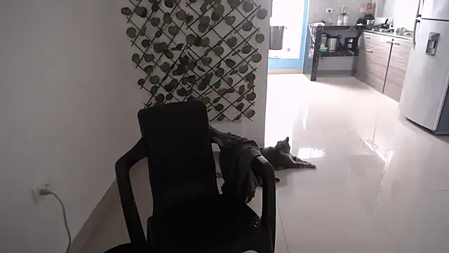 yohacriss online show from 12-16-25, 08:36