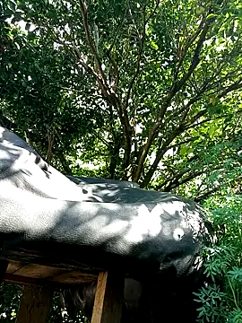 Snapshot of AlphaAlterX chatting on 12-16-25, 07:52 AlphaAlterX online show from 12-16-25, 07:52