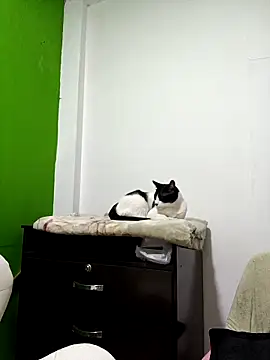 kate rosse02 online show from 02-11-26, 08:41