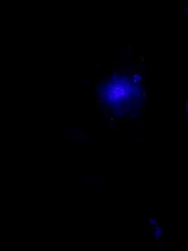 Snapshot of johnboones10 chatting on 10-22-25, 09:42 johnboones10 online show from 10-22-25, 09:42