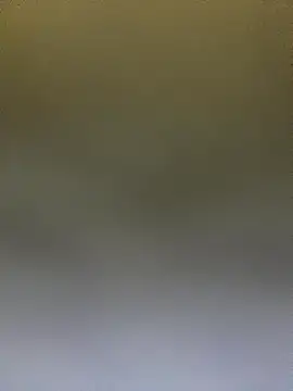 Adele Pinkk online show from 10-14-25, 12:50