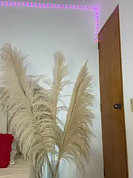 Snapshot of liaarous_ chatting on 03-10-26, 02:27 liaarous online show from 03-10-26, 02:27