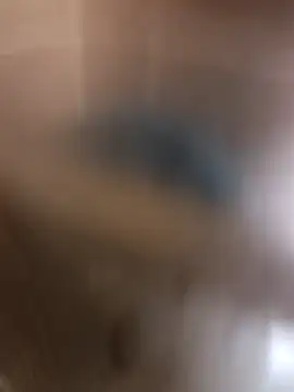 Snapshot of kirikou0644 chatting on 03-10-26, 04:34 kirikou0644 online show from 03-10-26, 04:34