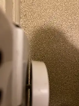 Snapshot of Pedro98801 chatting on 12-18-25, 03:56 Pedro98801 online show from 12-18-25, 03:56