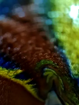 Chanti8096 online show from 12-04-25, 05:43