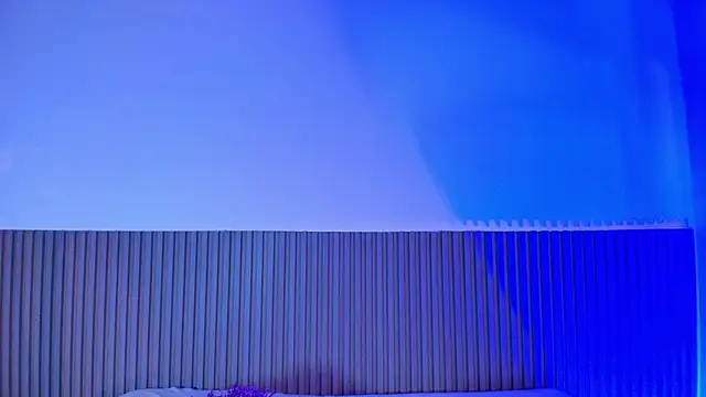 Alana 333 online show from 02-17-26, 11:18