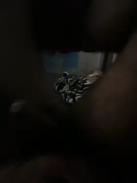 FromVnz online show from 11-21-25, 12:37