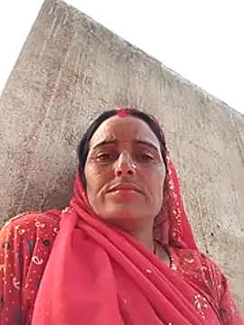 Jalebi bay online show from 11-23-25, 10:04