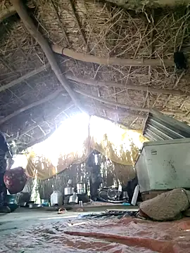 LUCKY cut online show from 09-11-25, 11:21