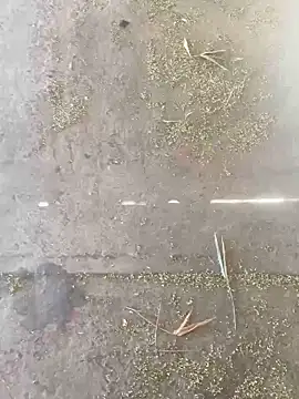 Snapshot of Chico031289 chatting on 10-28-25, 07:16 Chico031289 online show from 10-28-25, 07:16