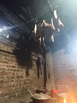 siki-00 online show from 02-12-26, 12:16