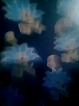 Snapshot of your_favourite_bhabhi chatting on 11-02-25, 01:46 your favourite bhabhi online show from 11-02-25, 01:46