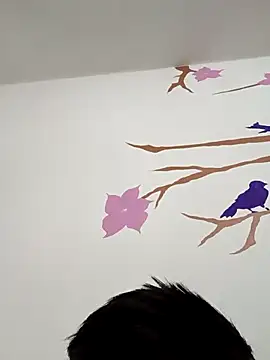 DavidVergagigante420 online show from 12-17-25, 07:25