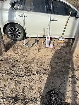 Snapshot of Fengbaby-555 chatting on 02-03-26, 06:22 Fengbaby-555 online show from 02-03-26, 06:22