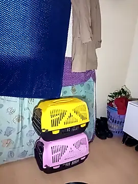 kittymutant99 online show from 12-22-25, 08:39