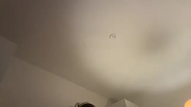 Swedishfish69 online show from 02-08-26, 04:32