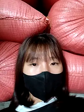 Snapshot of kata-00 chatting on 10-09-25, 12:14 kata-00 online show from 10-09-25, 12:14