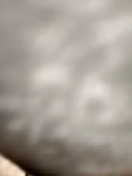 Snapshot of Chanderi19 chatting on 11-24-25, 03:17 Chanderi19 online show from 11-24-25, 03:17