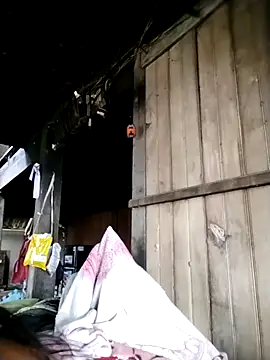 Snapshot of Samdim23 chatting on 10-02-25, 02:29 Samdim23 online show from 10-02-25, 02:29