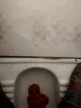 haryanaboypanipat12 online show from 03-17-26, 01:21